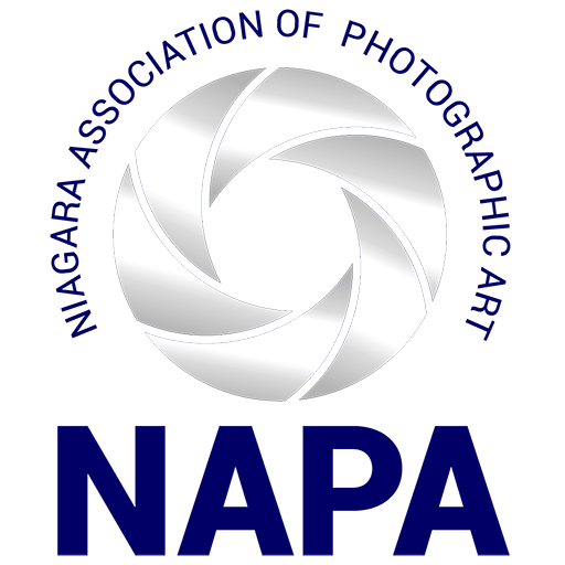 Niagara Association of Photographic Art