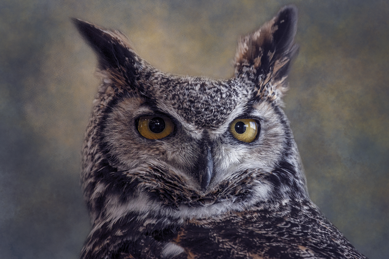 T_024_D_07_Michelle Stranges_Oh Wise One