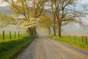 Landscape Photography by Cecil Holmes